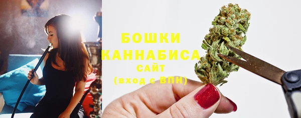 СК Волосово